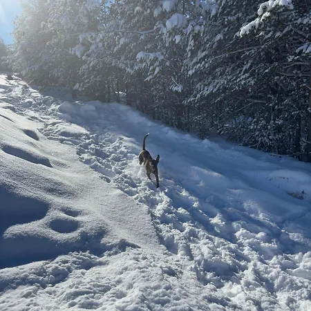Abies Feriehus Vodice